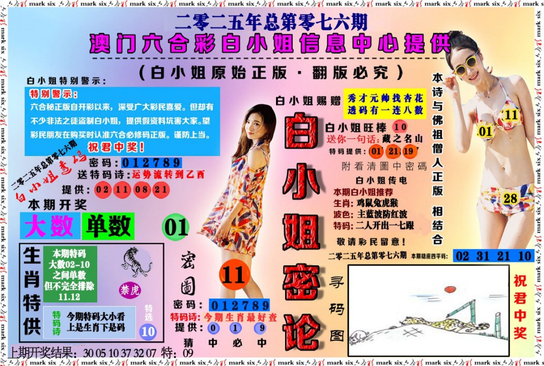 白小姐密论