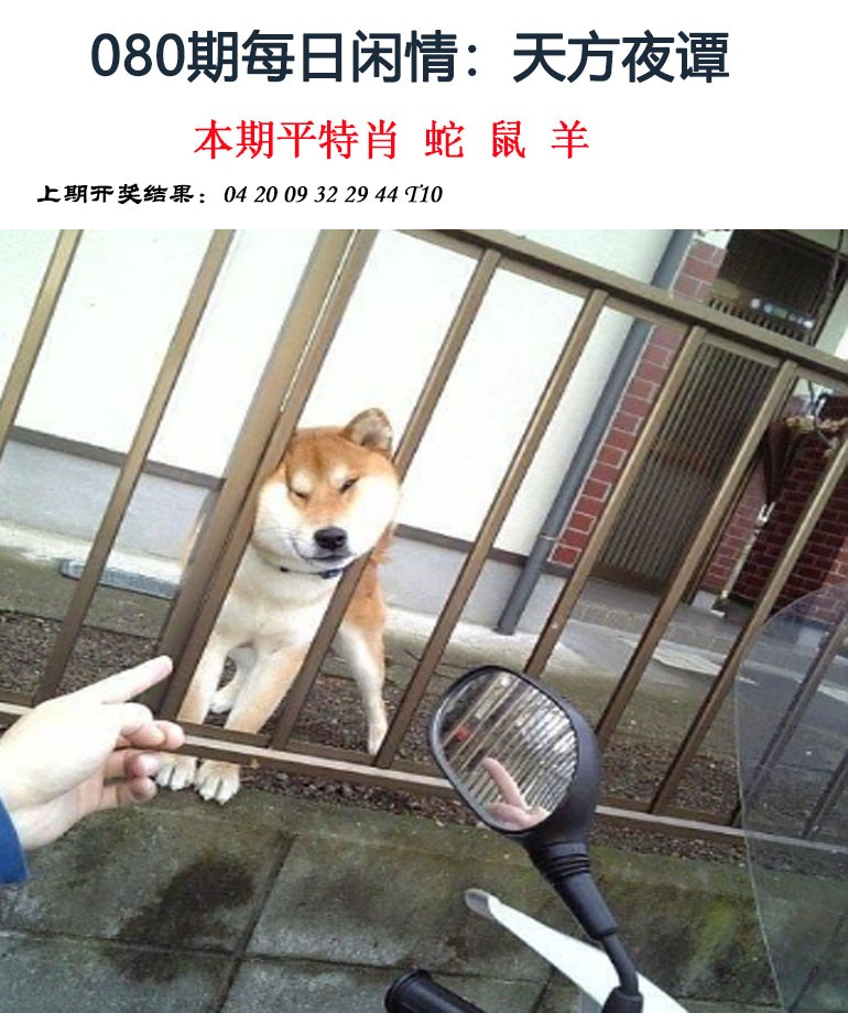 每日闲情