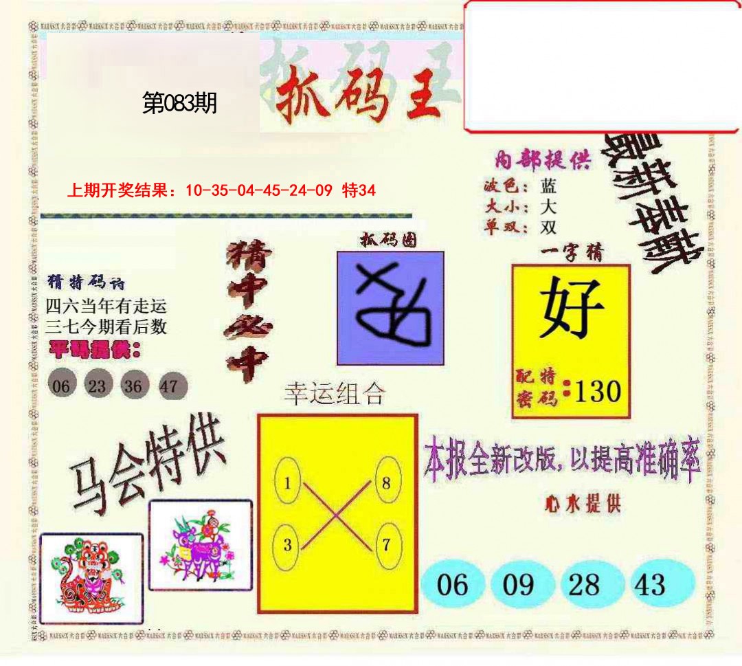 新抓码王