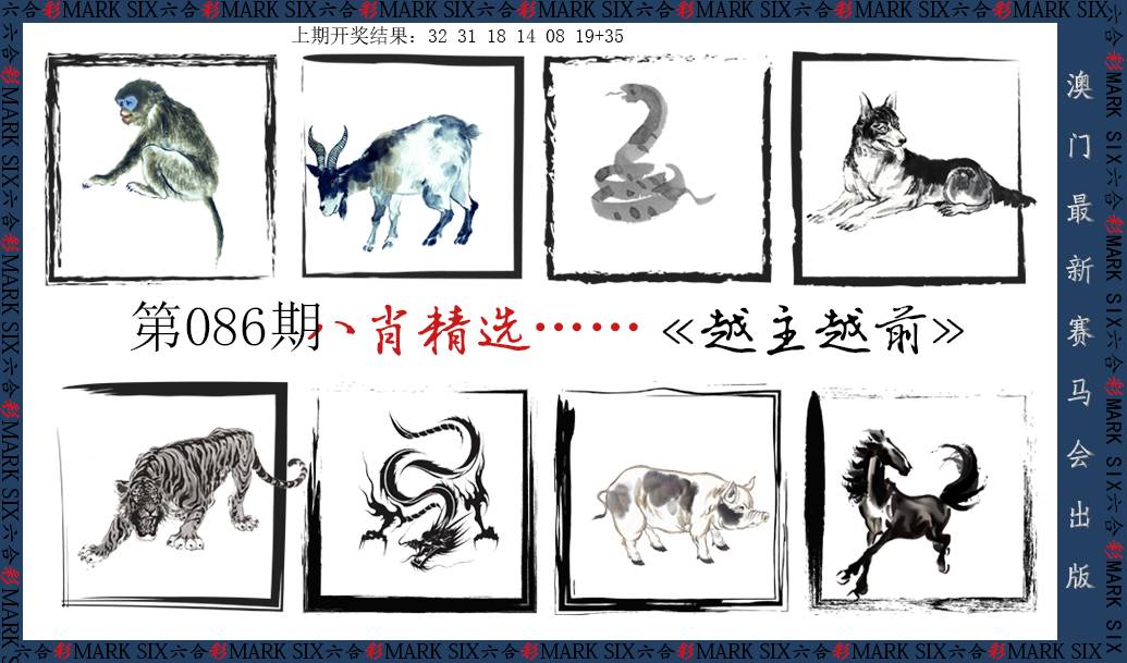 八肖精选