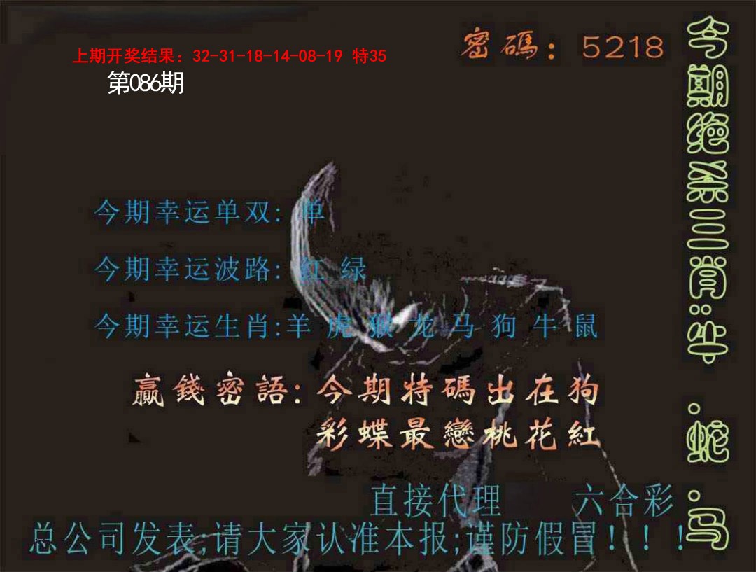 九龙特码报