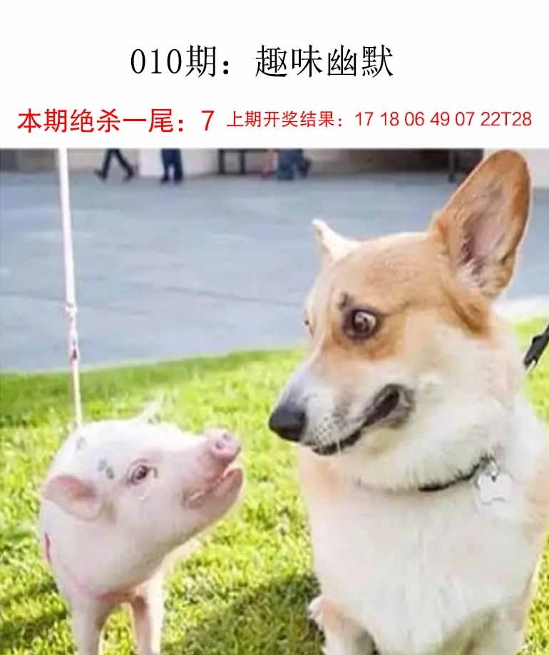 如遇图片未显示，请开奖日六点后查看