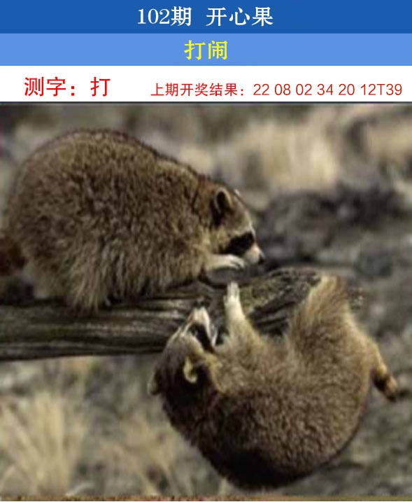 澳门刘半仙