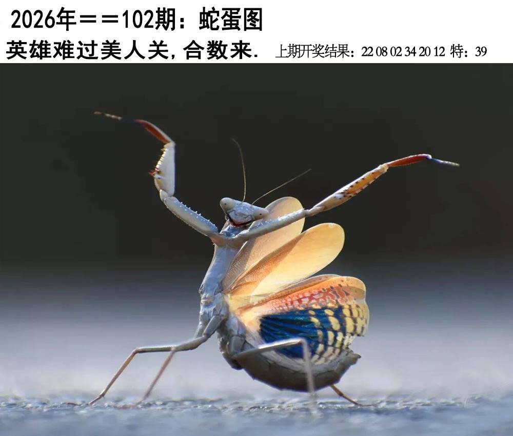 图片资料正在更新中……