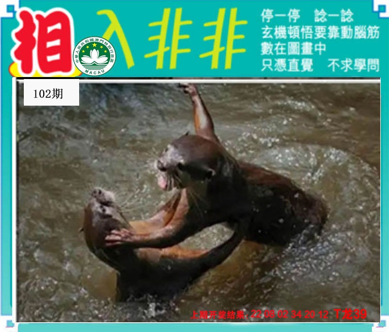 澳门刘半仙