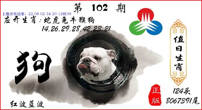 澳门刘半仙