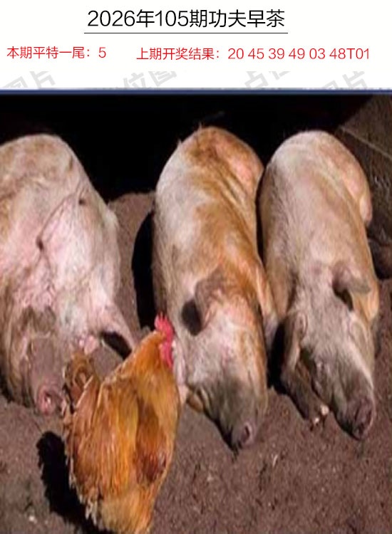 澳门掌中彩115589.com