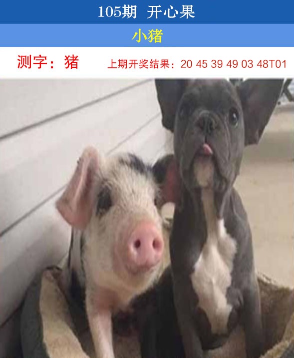 澳门掌中彩115589.com