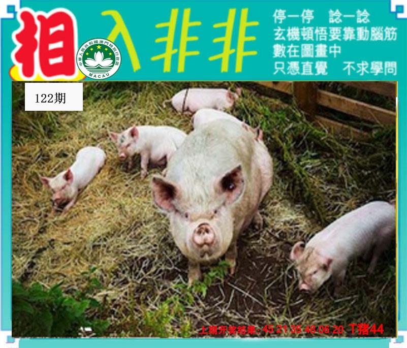 刘半仙