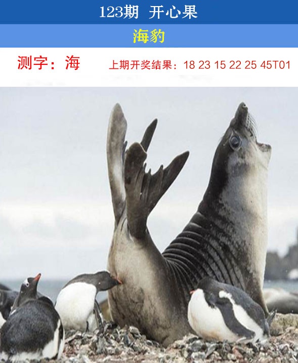 刘半仙