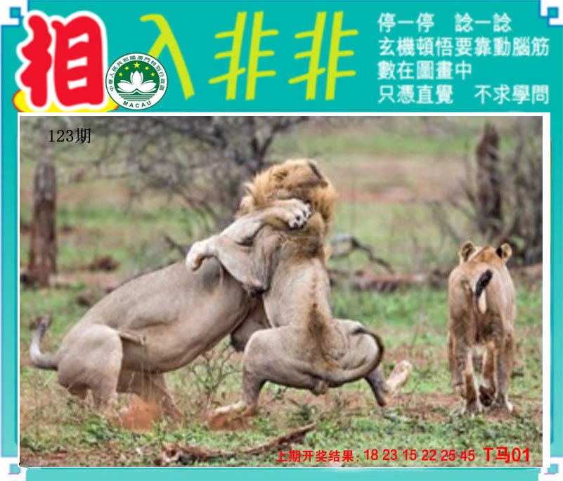 刘半仙
