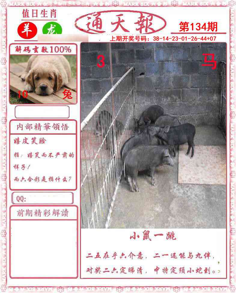澳门大富翁