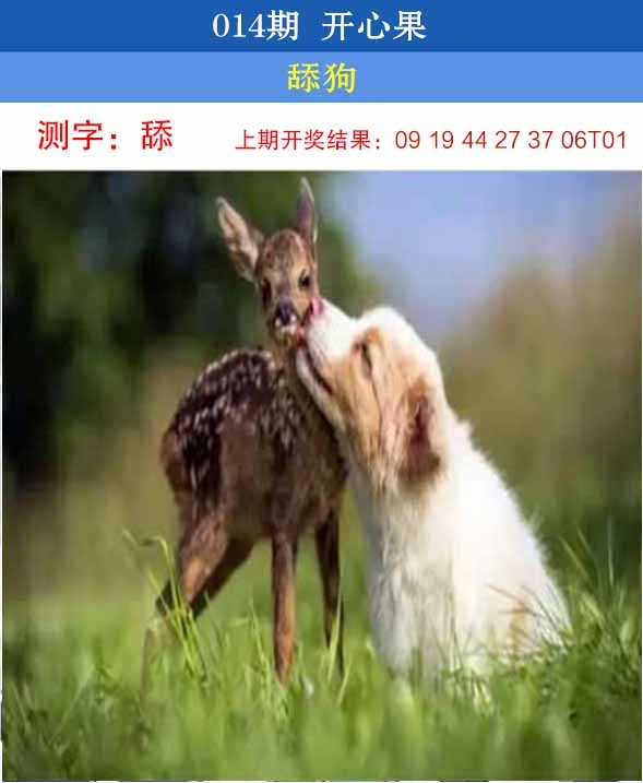 澳门掌中彩115589.com