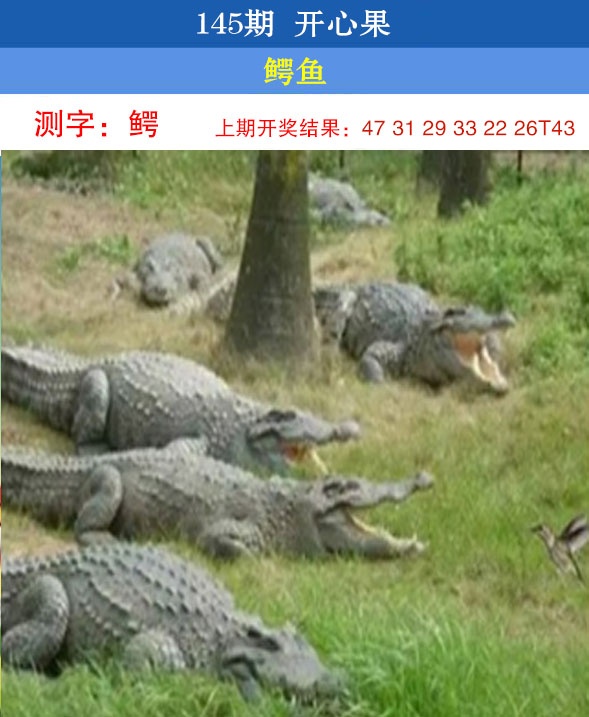 刘半仙