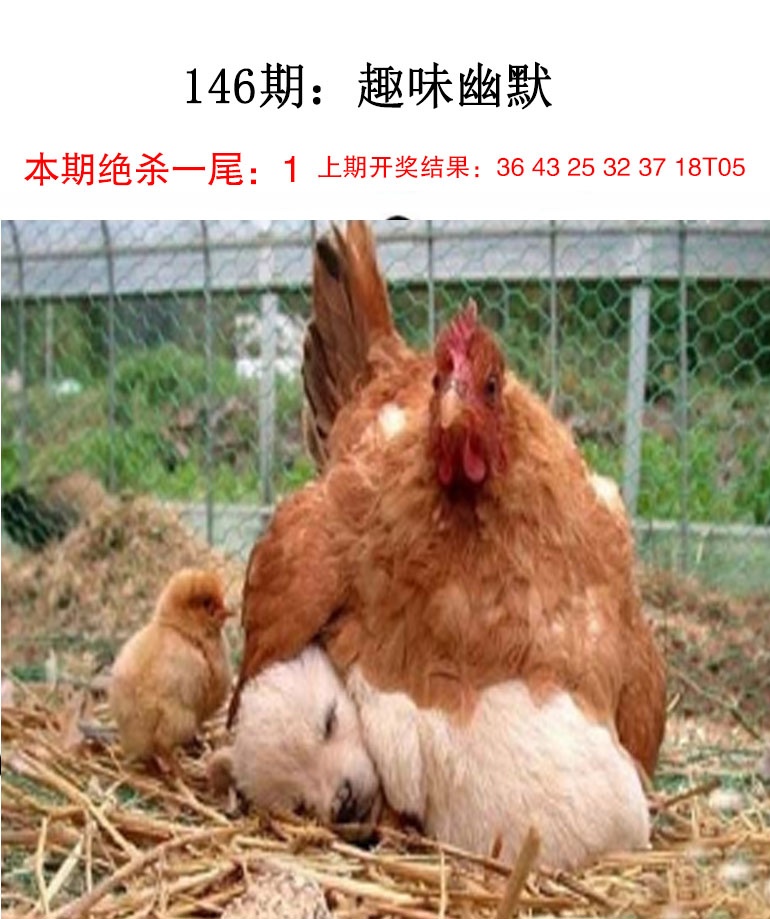 澳门大三巴