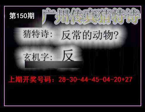 澳门横财富