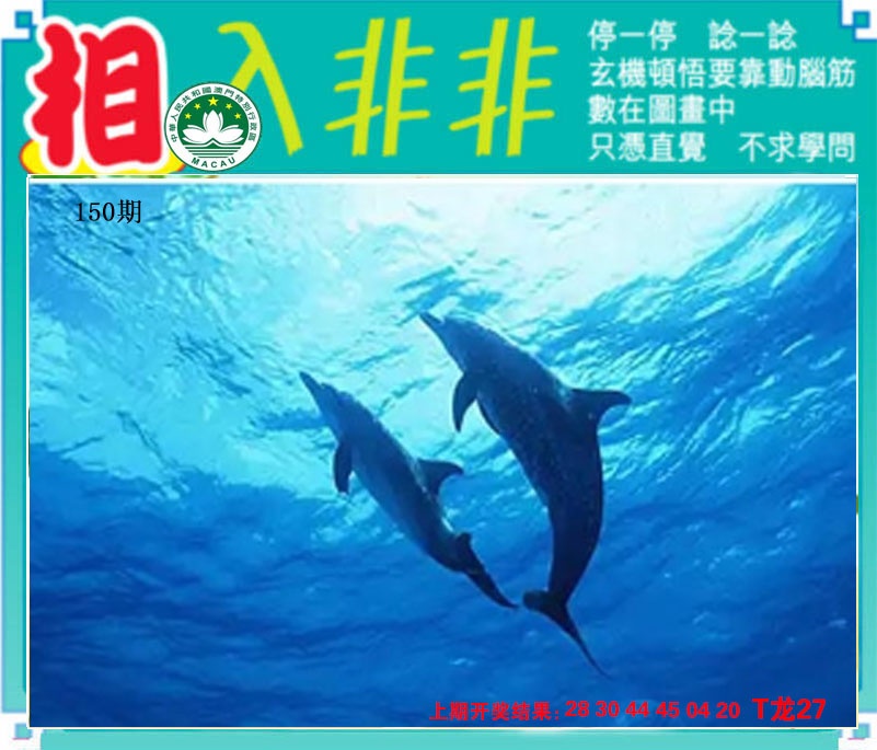 澳门横财富