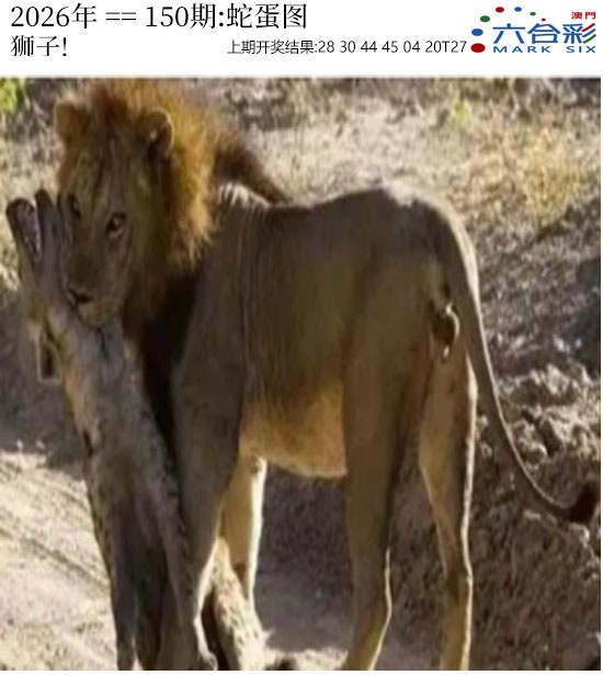 澳门横财富
