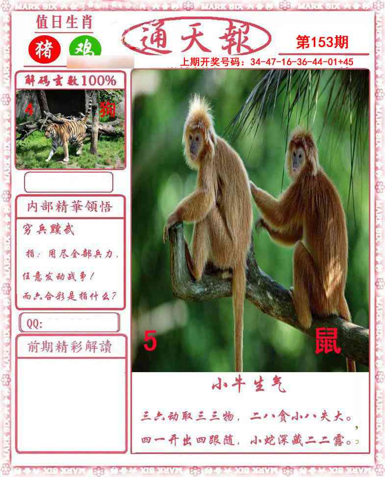 澳门百彩通