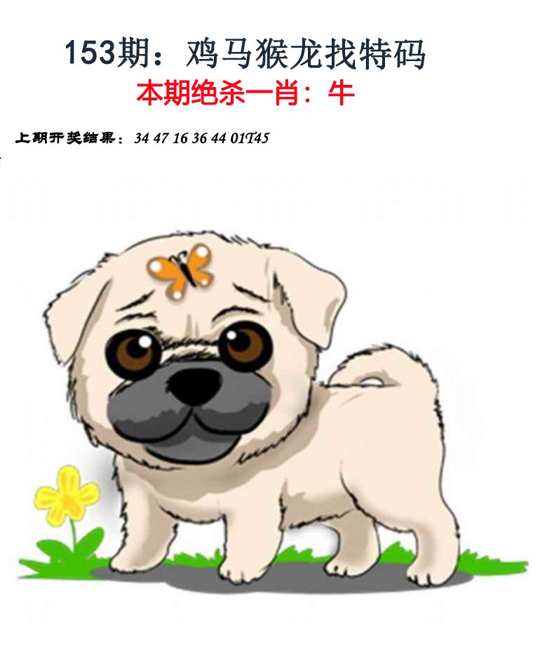 澳门百彩通