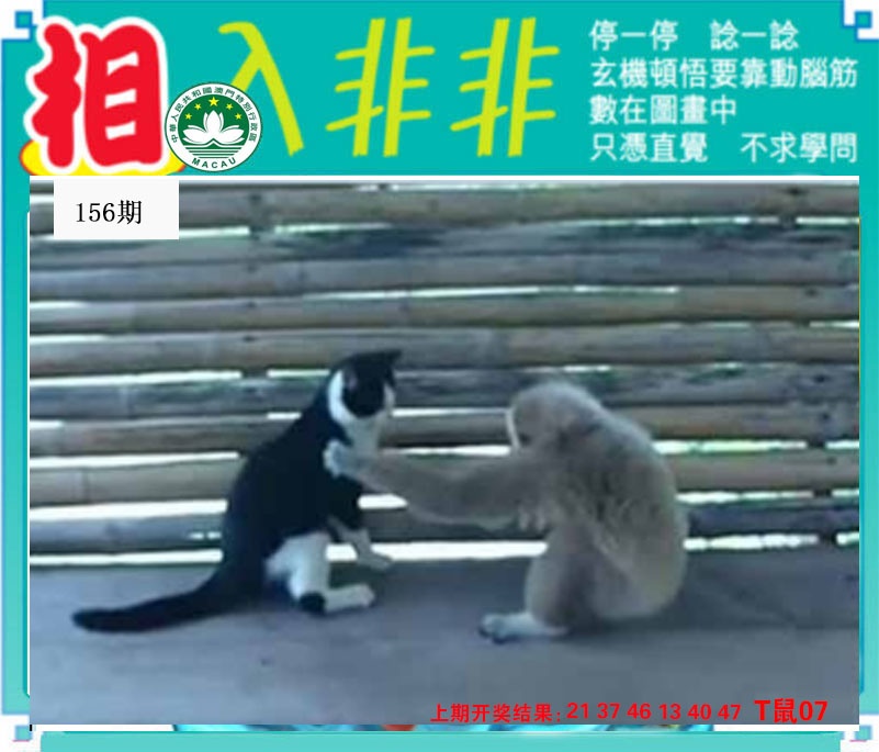 刘半仙