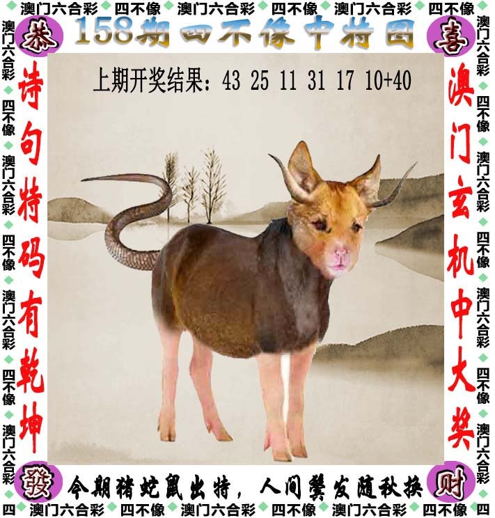 如遇图片未显示，请开奖日六点后查看