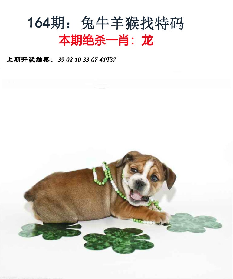 澳门大三巴