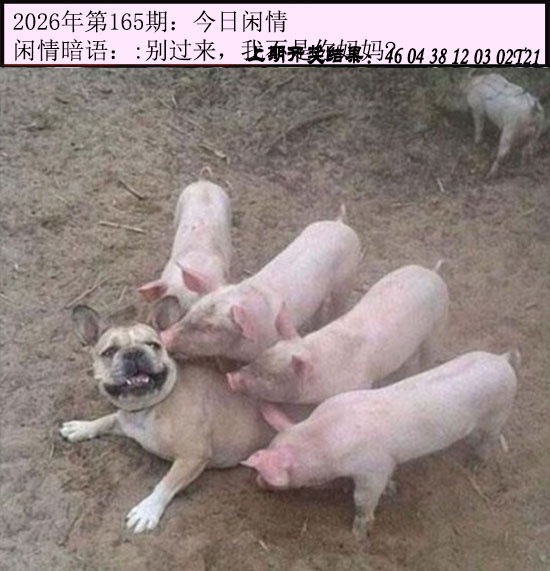 刘半仙