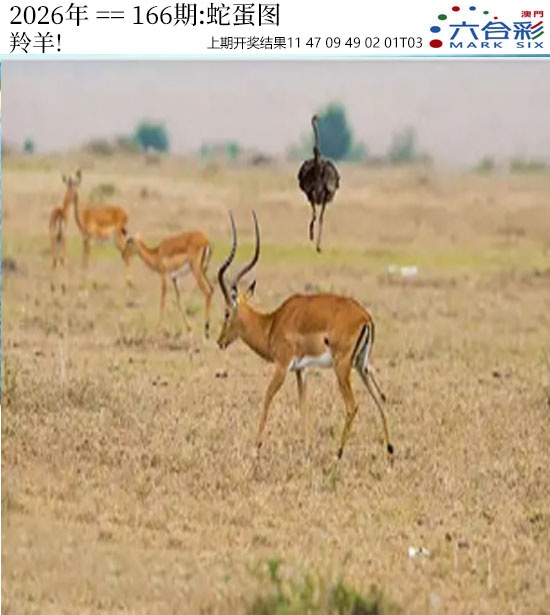 刘半仙