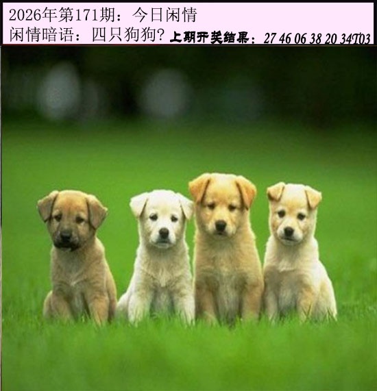 刘半仙