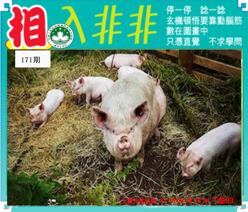 刘半仙