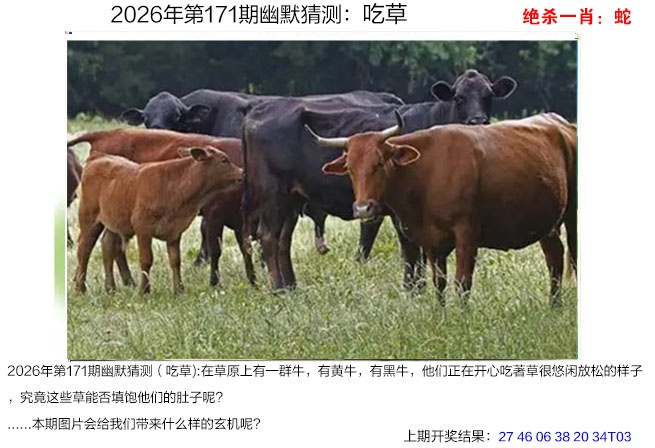 刘半仙