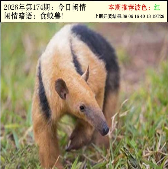 刘半仙
