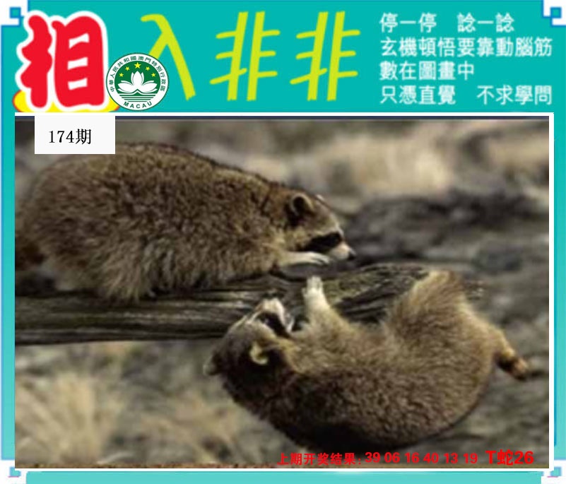 刘半仙