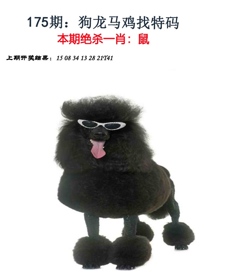澳门横财富