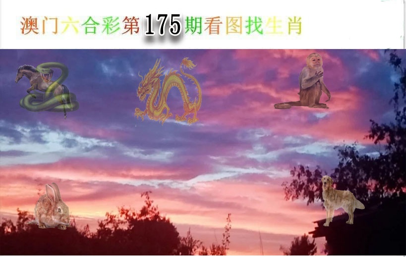 澳门横财富