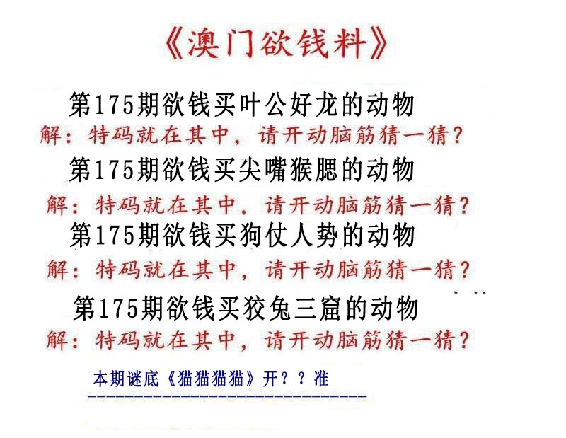 澳门横财富