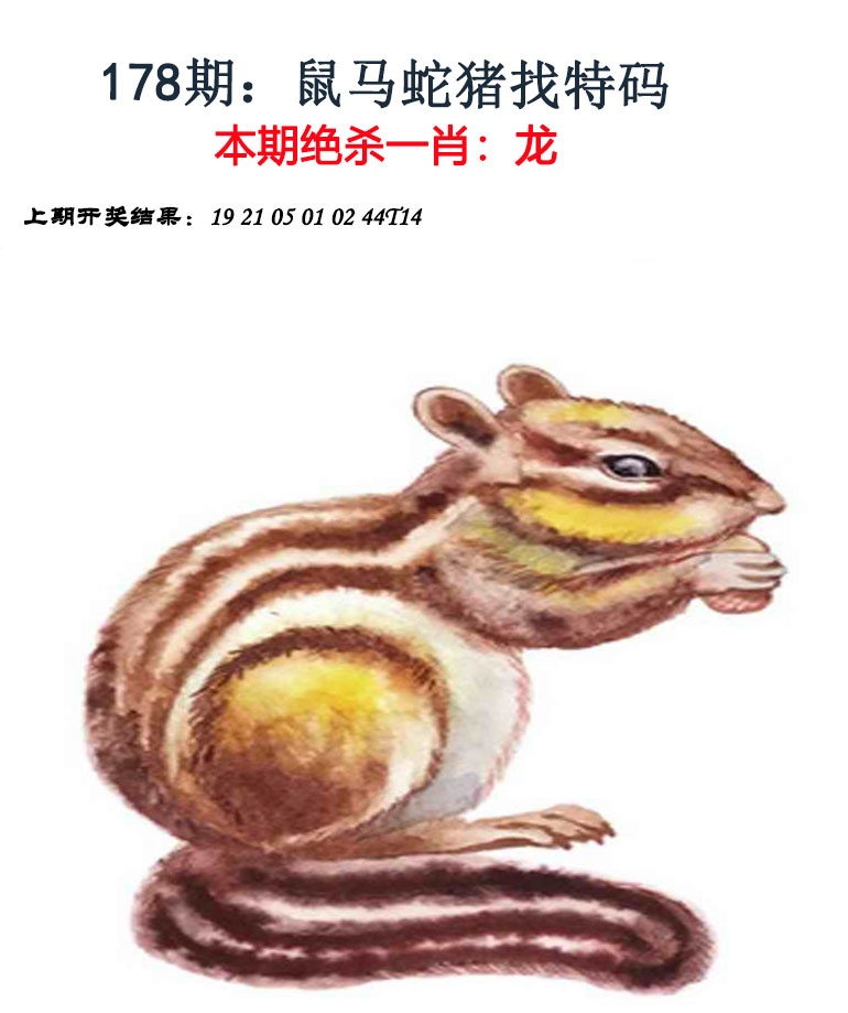 澳门天天好彩