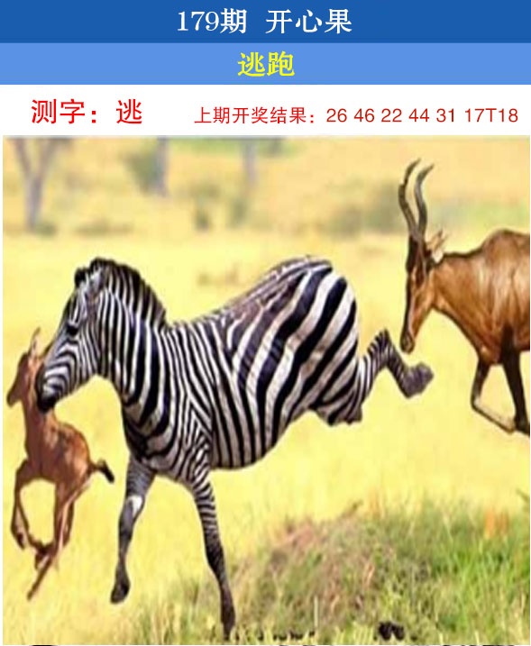 澳门横财富