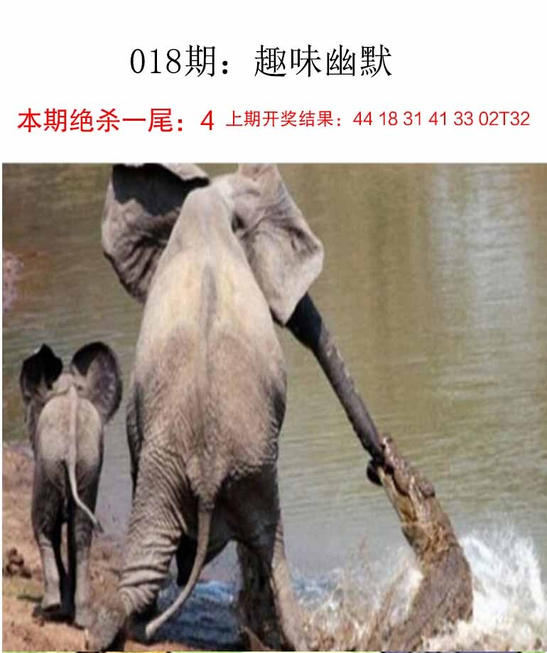 如遇图片未显示，请开奖日六点后查看