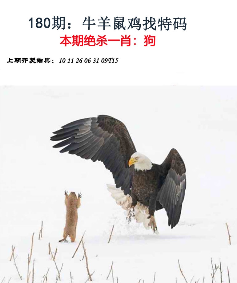 刘半仙