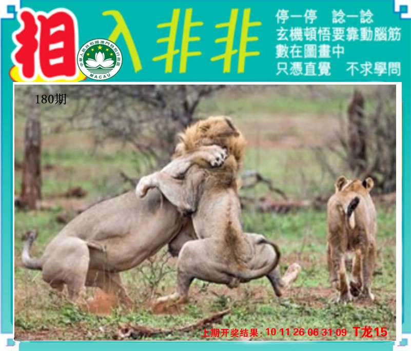 刘半仙