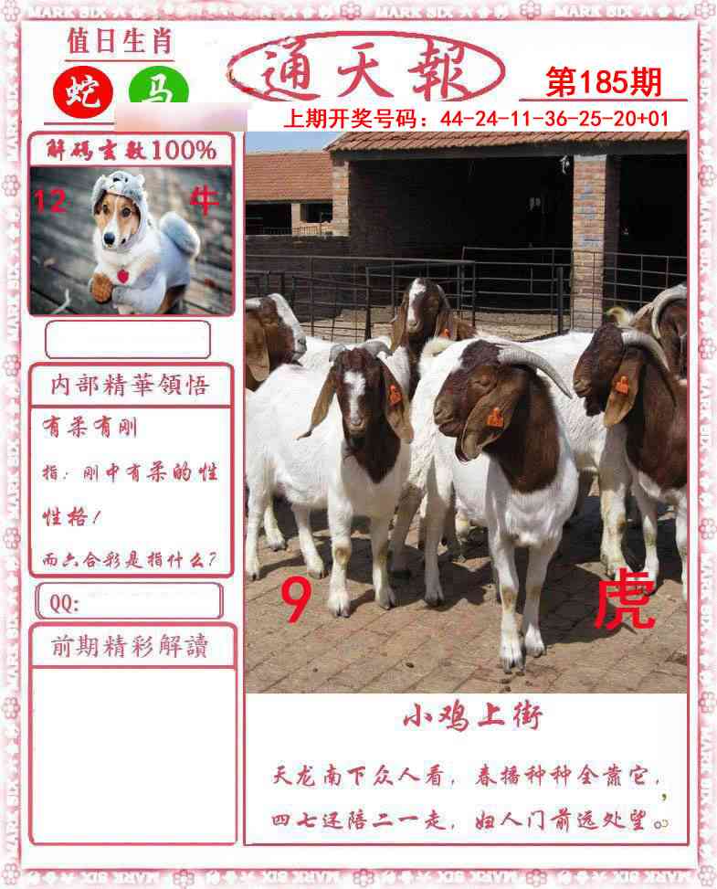 澳门天天好彩