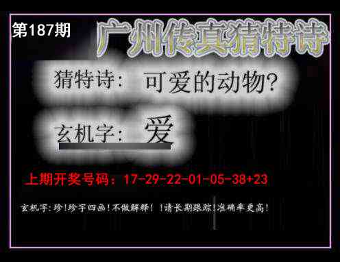 澳门天天好彩