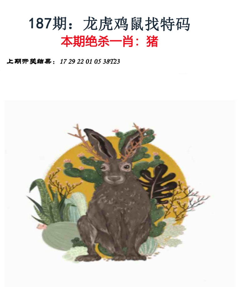 澳门天天好彩
