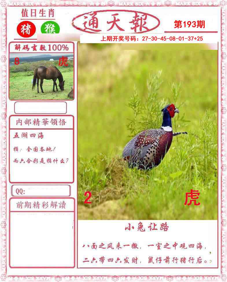 报彩神童