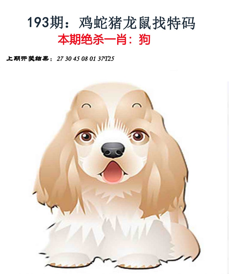 报彩神童
