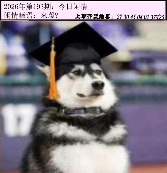 报彩神童