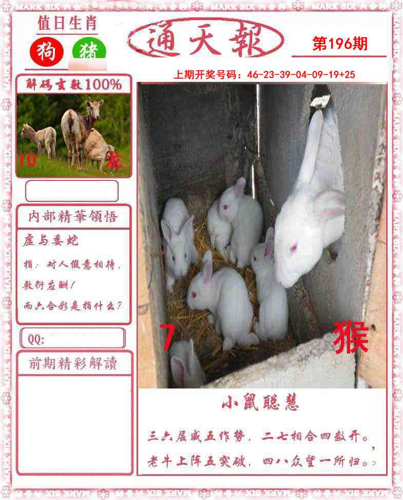 澳门横财富