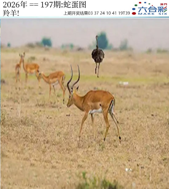 刘半仙
